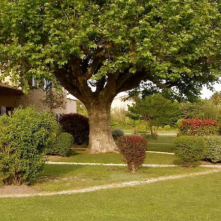 Mas Seraphin Affittacamere LʼIsle-sur-la-Sorgue